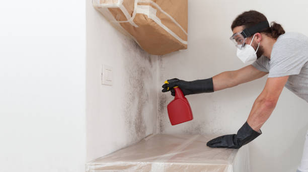 Professional Bathroom Mold Removal technician working in Winnetka, IL
