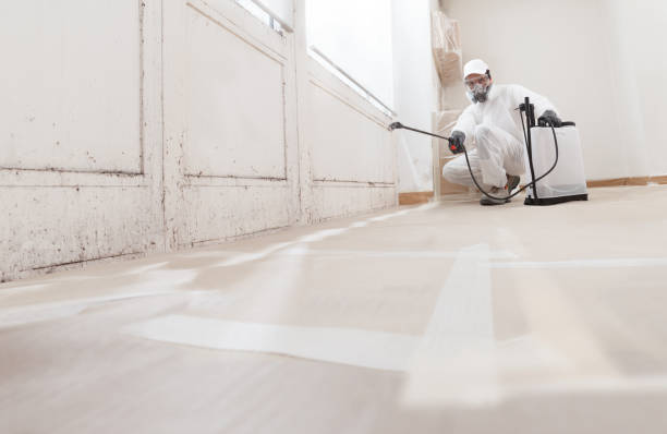 24/7 Emergency Bathroom Mold Removal experts in Winnetka, IL